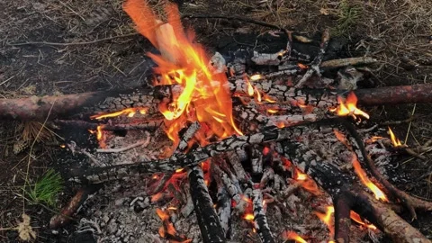 A beautifully burning fire in the evening Stock Footage 306154240