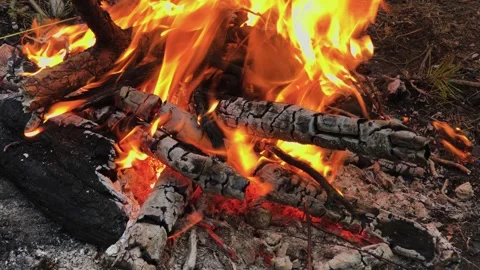 A beautifully burning fire in the evening Stock Footage 306154319
