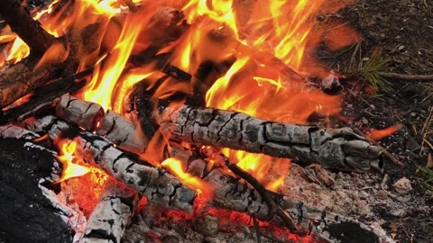 A beautifully burning fire in the evening Stock Footage 306154354
