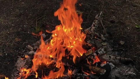 A beautifully burning fire in the evening Stock Footage 306154406