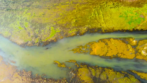 Beautifully colored marsh. Stock Footage 89990643