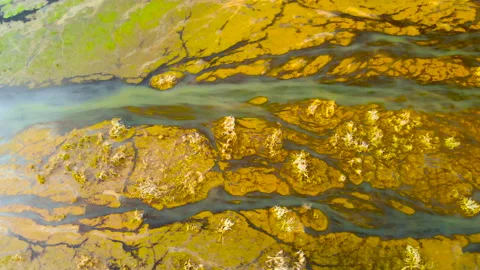 Beautifully colored marsh. Stock Footage 89991377