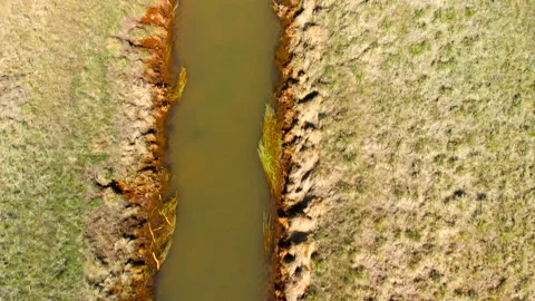 Beautifully colored marsh. Stock Footage 90013277
