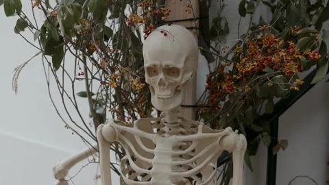 A beautifully crafted skeleton decoration surrounded by foliage, perfect for Stock Footage 314255690