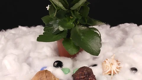 Beautifully Decorated With Decor Stock Footage 297081453