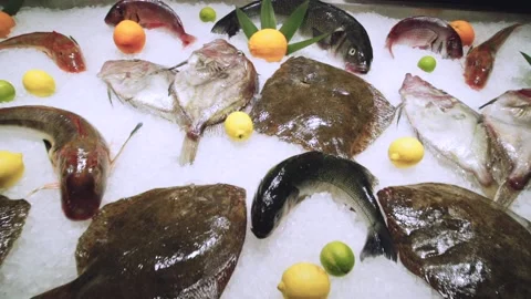 Beautifully decorated fish display case. Stock Footage 147836078