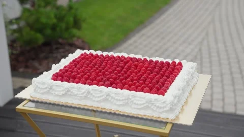 A beautifully decorated rectangular raspberry cake with white cream icing Stockbeeldmateriaal 319245240