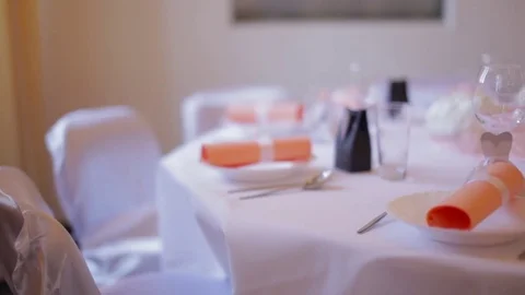 Beautifully decorated wedding table Stock Footage 73398284