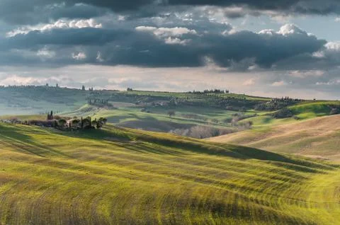 Beautifully lit fields in the spring sun. Stock Photos
