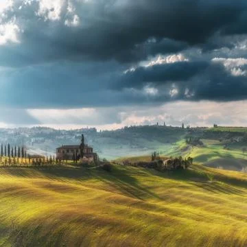 Beautifully lit fields in the spring sun. Stock Photos