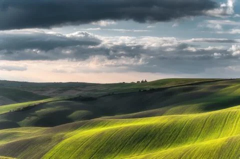 Beautifully lit fields in the spring sun. Stock Photos