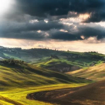 Beautifully lit fields in the spring sun. Stock Photos