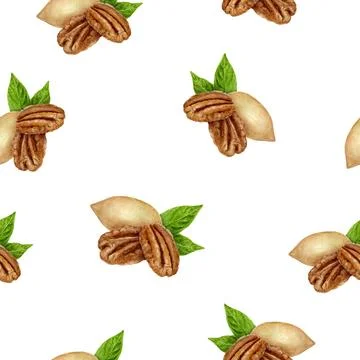 A Beautifully Watercolor Seamless Pattern Featuring Delicious Almonds and Pecans Stock Illustration