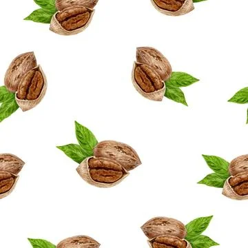 A Beautifully Watercolor Seamless Pattern Featuring Delicious Almonds and Pecans Stock Illustration