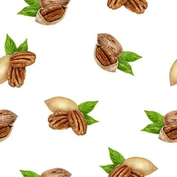 A Beautifully Watercolor Seamless Pattern Featuring Delicious Pecans Alongside Stock Illustration