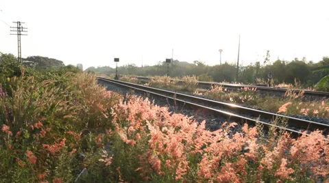 Beautifulviewonrailroad HD Stock Footage 34968741