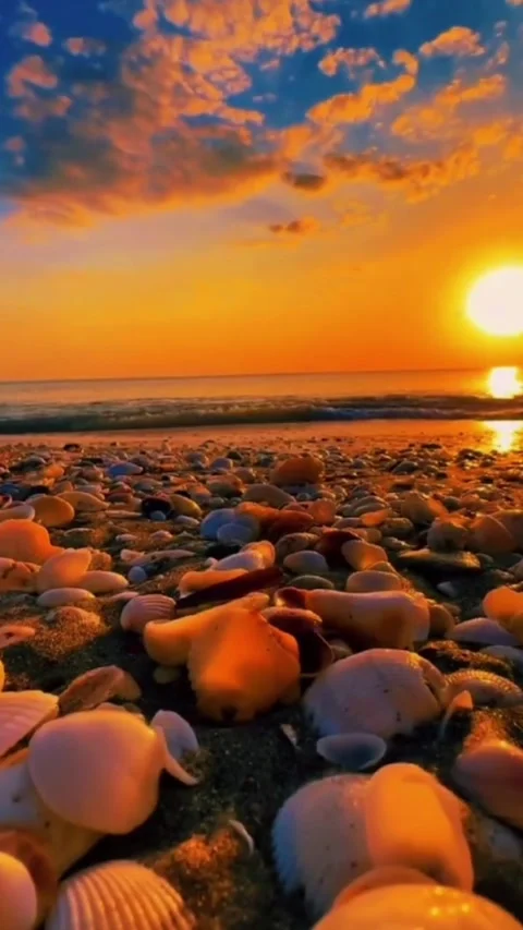 The beauty of the beach in the evening Video stock 208652144