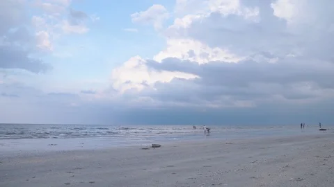 Beauty on the beach 動画素材 93265213