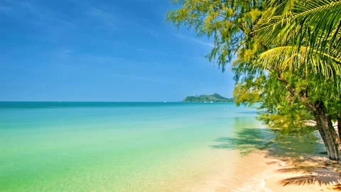 Beauty beach Stock Footage 237313711
