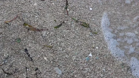 The beauty of the beach waves Stock Footage 240901046