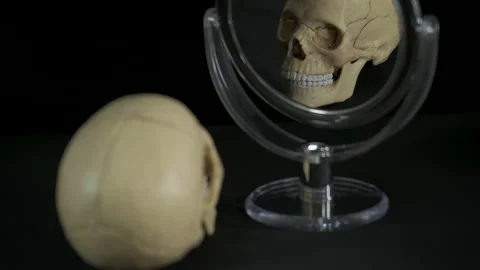 Beauty bone in the mirror. Video stock 136625202