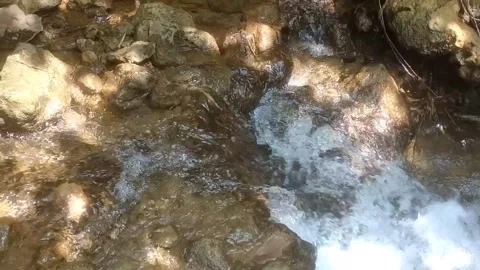 The Beauty of a Clear River Stream 库存影片 334590072