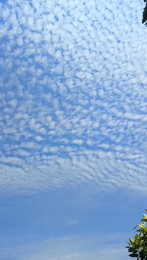 Beauty Cloud Stock Footage 243785184