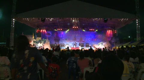 Beauty contestant 1 Video stock 486053