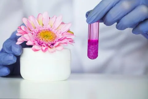 Beauty cosmetics sciences, Formulating and mixing skincare with herbal essence Stock Photos