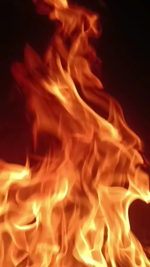 Beauty in Danger: Diving into the Elegance of Fire Stock Footage 279670737