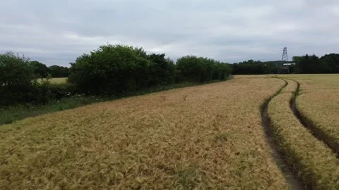 Beauty is endless Stock Footage 278242971