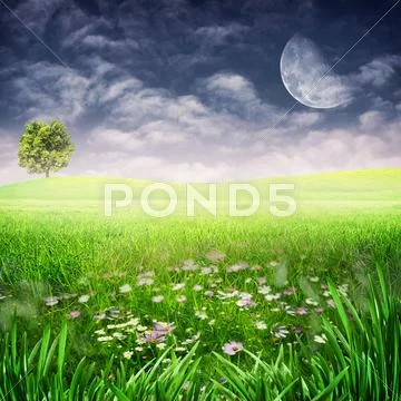 Beauty evening on the meadow. abstract natural backgrounds for your design Stock Photos