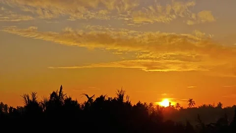 The beauty of the evening sky Stock Footage 316734795