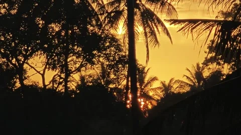The beauty of the evening sky Stock Footage 316734796