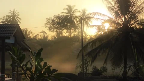 The beauty of the evening sky Stock Footage 316734822