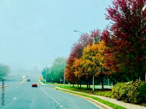 Beauty of Fall Stock Photos
