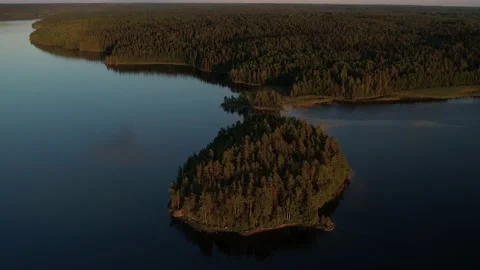 Beauty of the forest Stock Footage 158858017