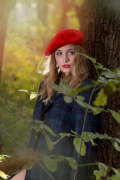 Beauty in the forest Stock Photos