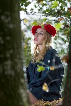 Beauty in the forest Stock Photos