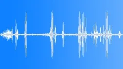 Beauty Forest Woodland Ambience 2 Sound Effect