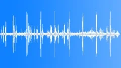 Beauty Forest Woodland Ambience 3 Sound Effect