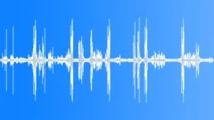 Beauty Forest Woodland AmbienceSound Effect