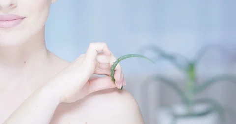 Beauty Girl with Fresh Skin Holding Green Leaf of Aloe Vera Portrait Stock Footage