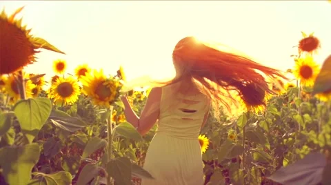 Beauty girl running on yellow sunflower field, raising hands. Stock Footage 59086889