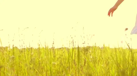 Beauty girl running on yellow wheat field over sunset sky. Freedom concept. Stock Footage 59089217