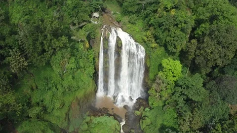 The beauty of the highest waterfall in Central Java Stock Footage 200988255