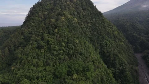 Beauty Hill Stock Footage 149221369