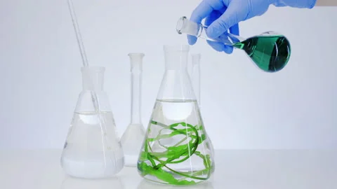 Beauty lab. Laboratory flasks with algae.  Video stock 140845403