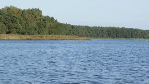 Beauty of the lake 库存影片 80986344