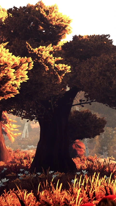 Beauty of a large tree in a meadow during sunset in a lively landscape Stock Footage 342709022